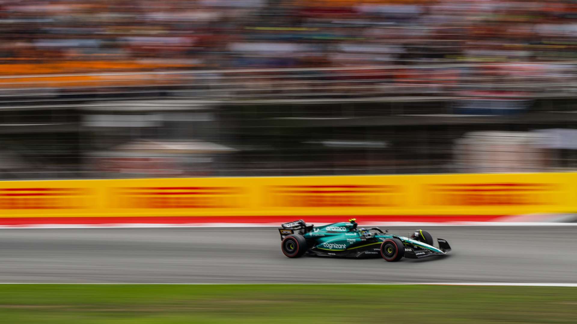 们的阵容构 们的阵容构