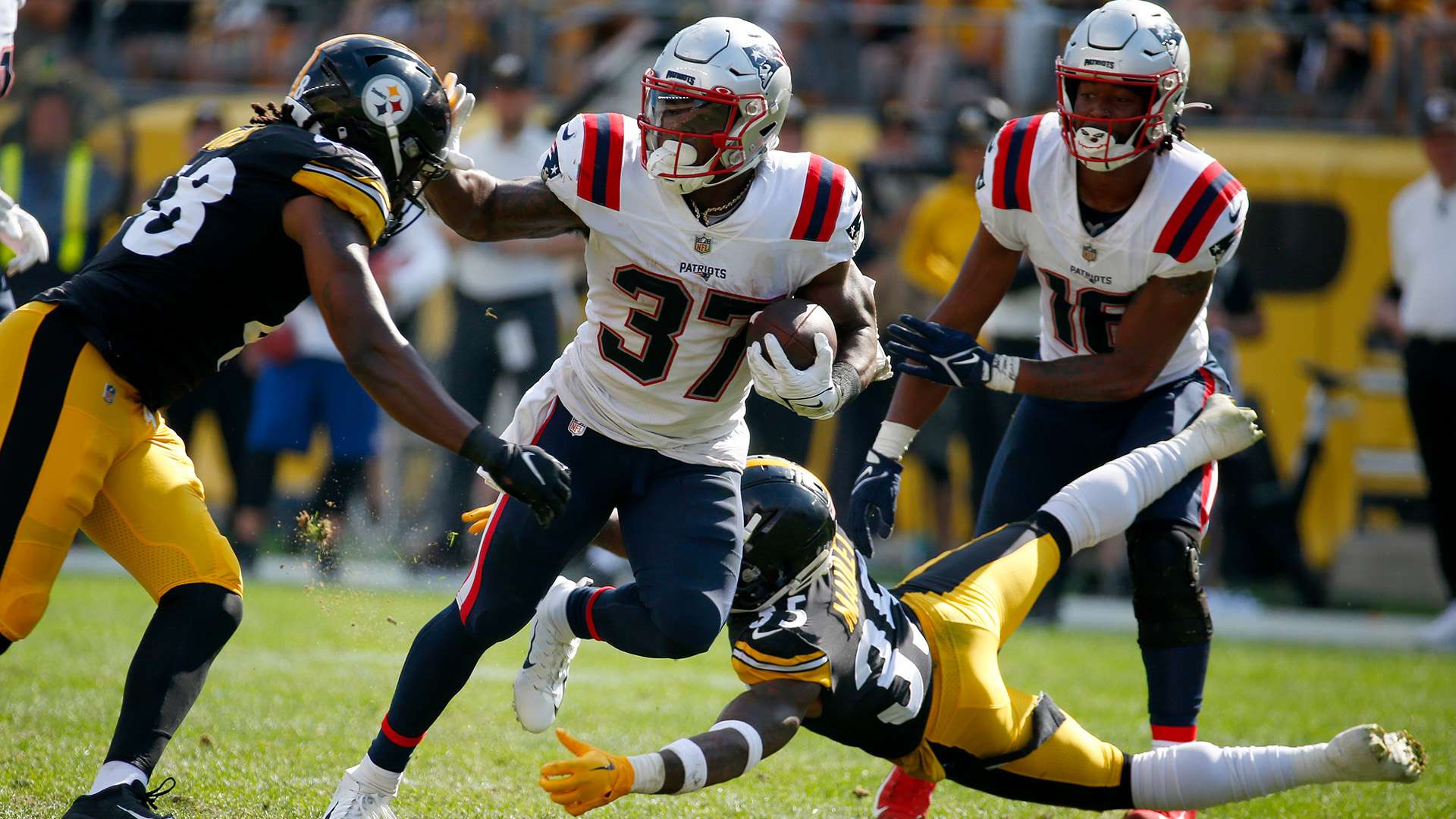 因此摇摇欲 因此摇摇欲