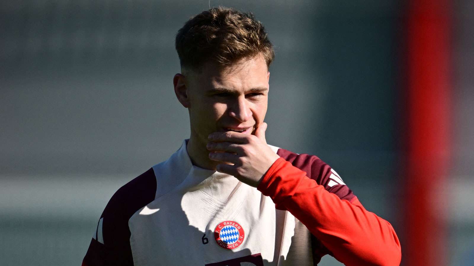 它们不仅是 它们不仅是